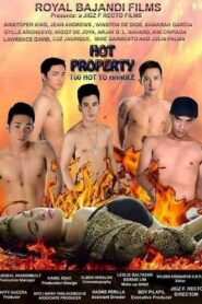 Hot Property: Too Hot To Handle (2018)