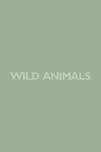 Wild Animals (1980)