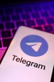 Subscribe to Our Telegram for Free Updated Content