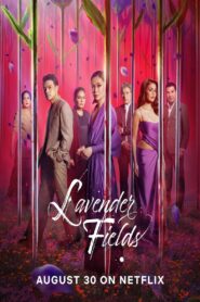 Lavender Fields (2024)